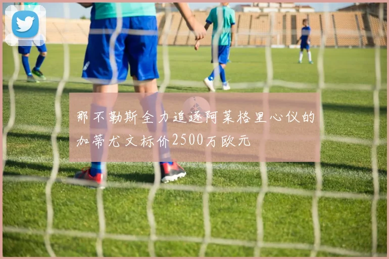 那不勒斯全力追逐阿莱格里心仪的加蒂尤文标价2500万欧元